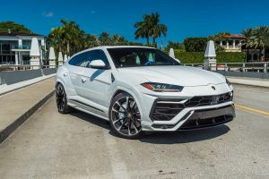Image of White Lamborghini Urus rental car in Miami